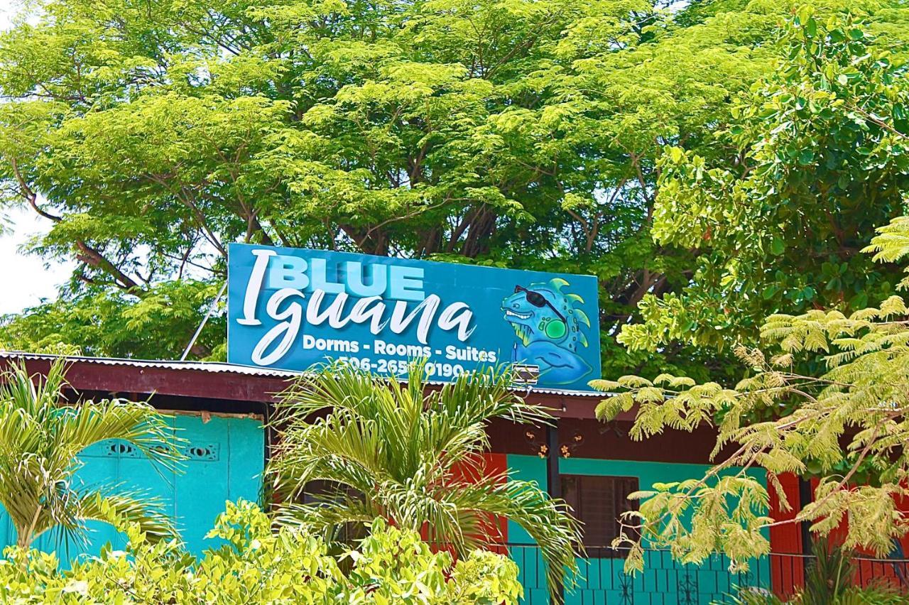 Blue Iguana Hotel Samara Exterior photo